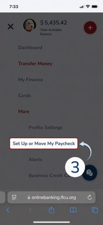 Step 3: Select "Switch your paycheck"